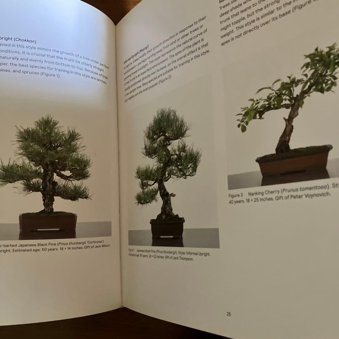 Bonsai: A Patient Art 洋書