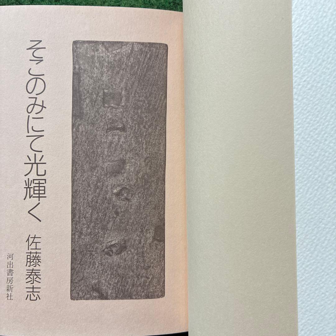 そこのみにて光輝く　佐藤泰志　初版本　単行本　河出書房新社