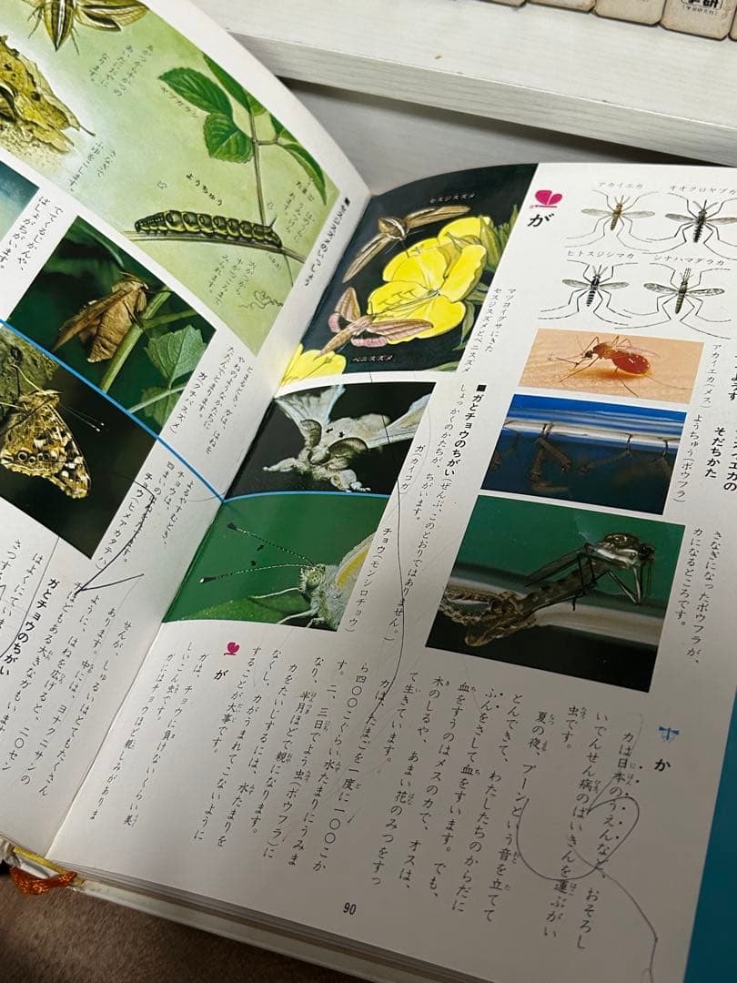 学研　学習こども百科 全17巻セット　昭和レトロ　さくいん　図鑑　百科