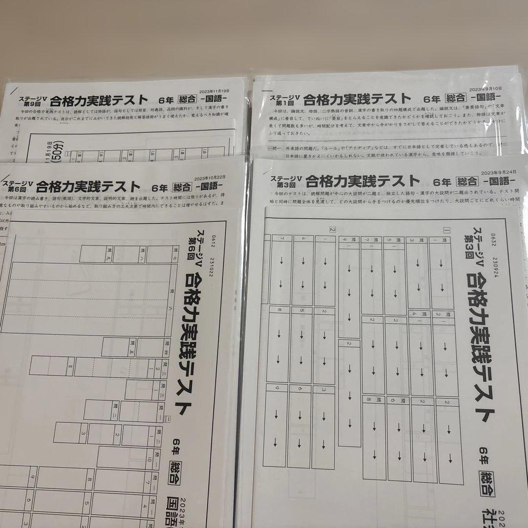 日能研6年　合格力育成テスト　合格力実践テスト　11回分　(うち6回分新品)