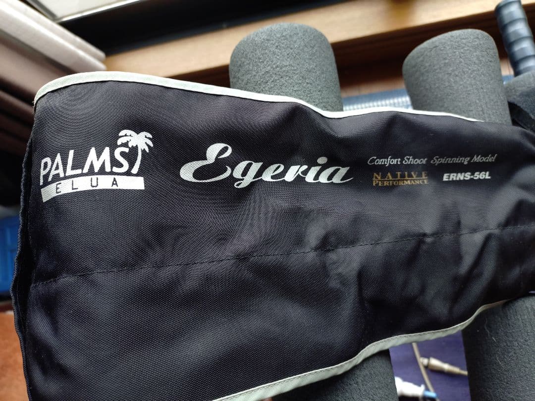 パームスNATIVE ERNS-56L 2ピースです。