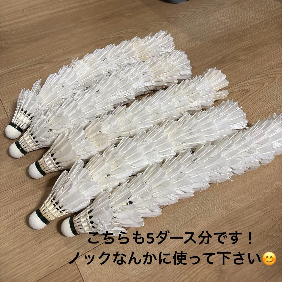 シャトル 10ダース　ヨネックス