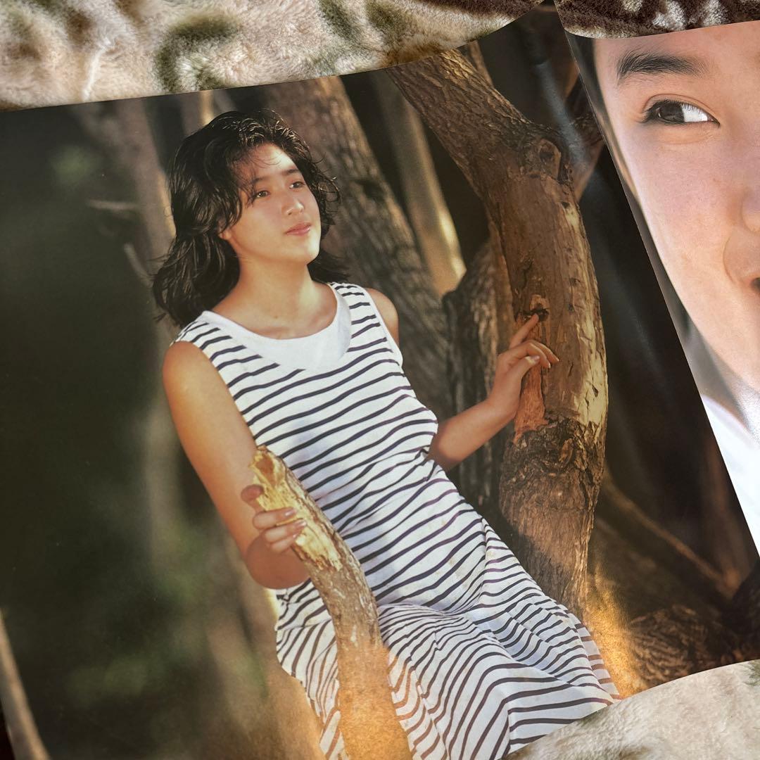 菊池桃子／ADVENTURE／もう逢えないかもしれない／林哲司／レコード／美盤