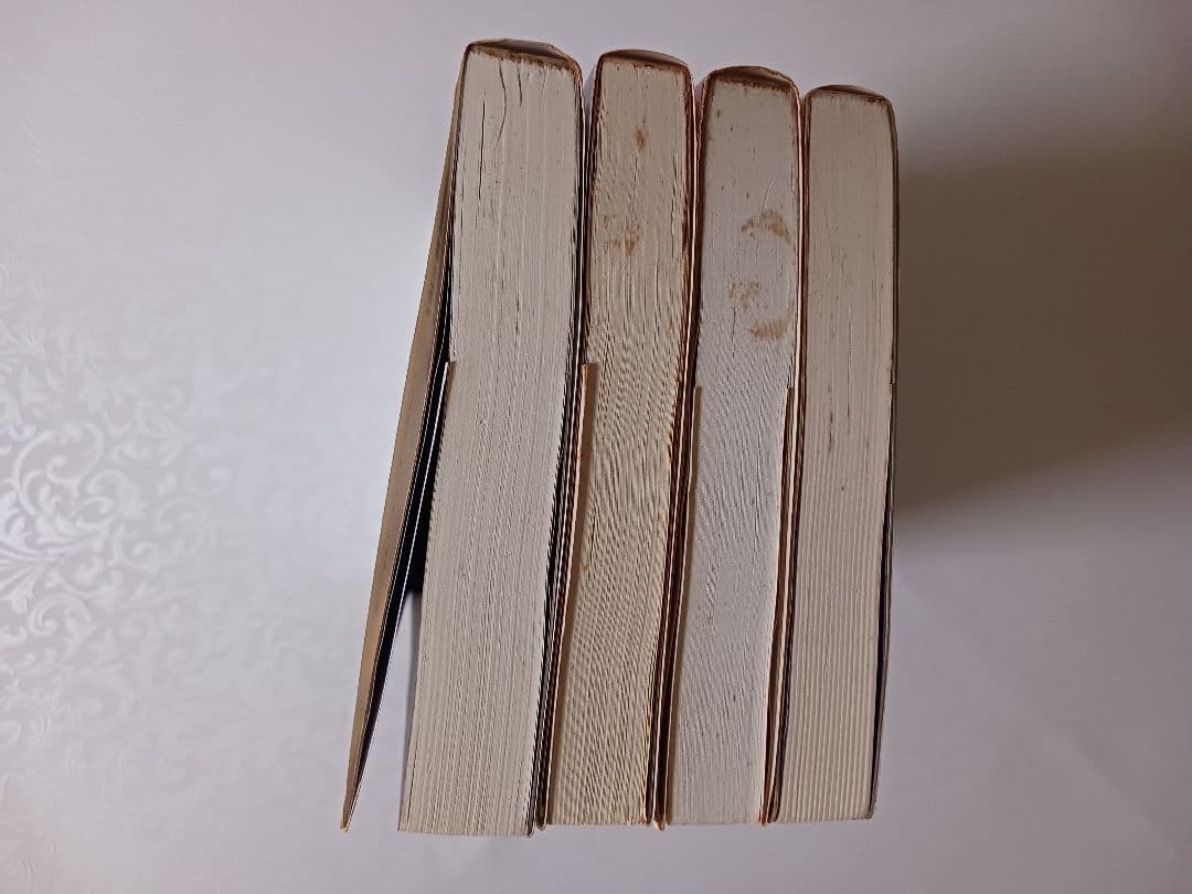 ベールの彼方の生活 全4巻セット
