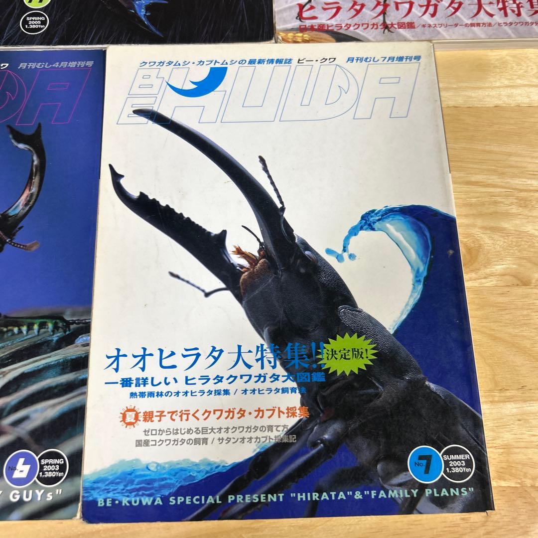 ビークワ7冊.月刊むしブックス5まとめ売り