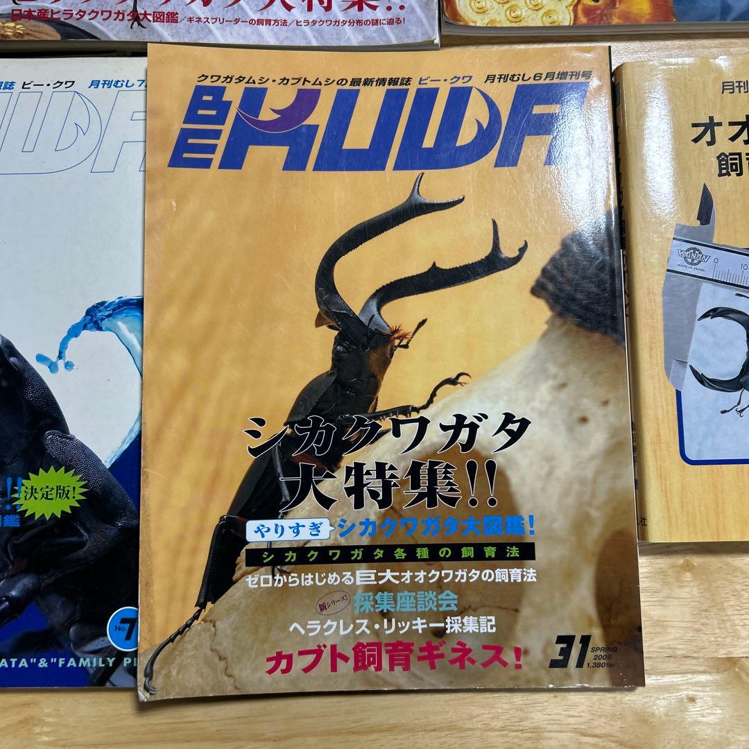 ビークワ7冊.月刊むしブックス5まとめ売り