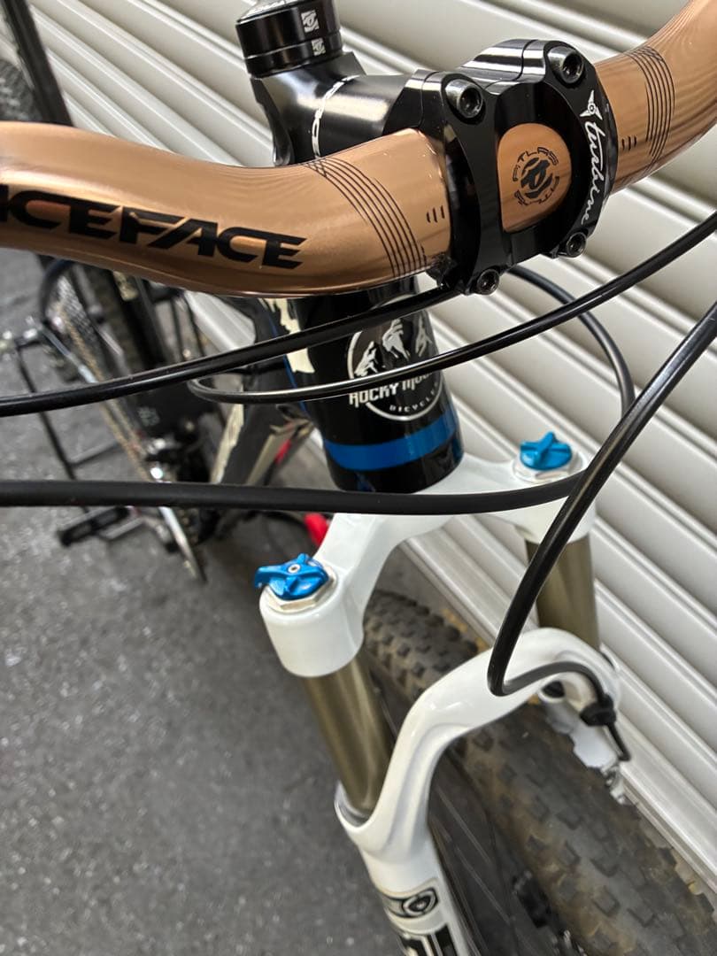 自転車本体 ROCKY MOUNTAIN 29