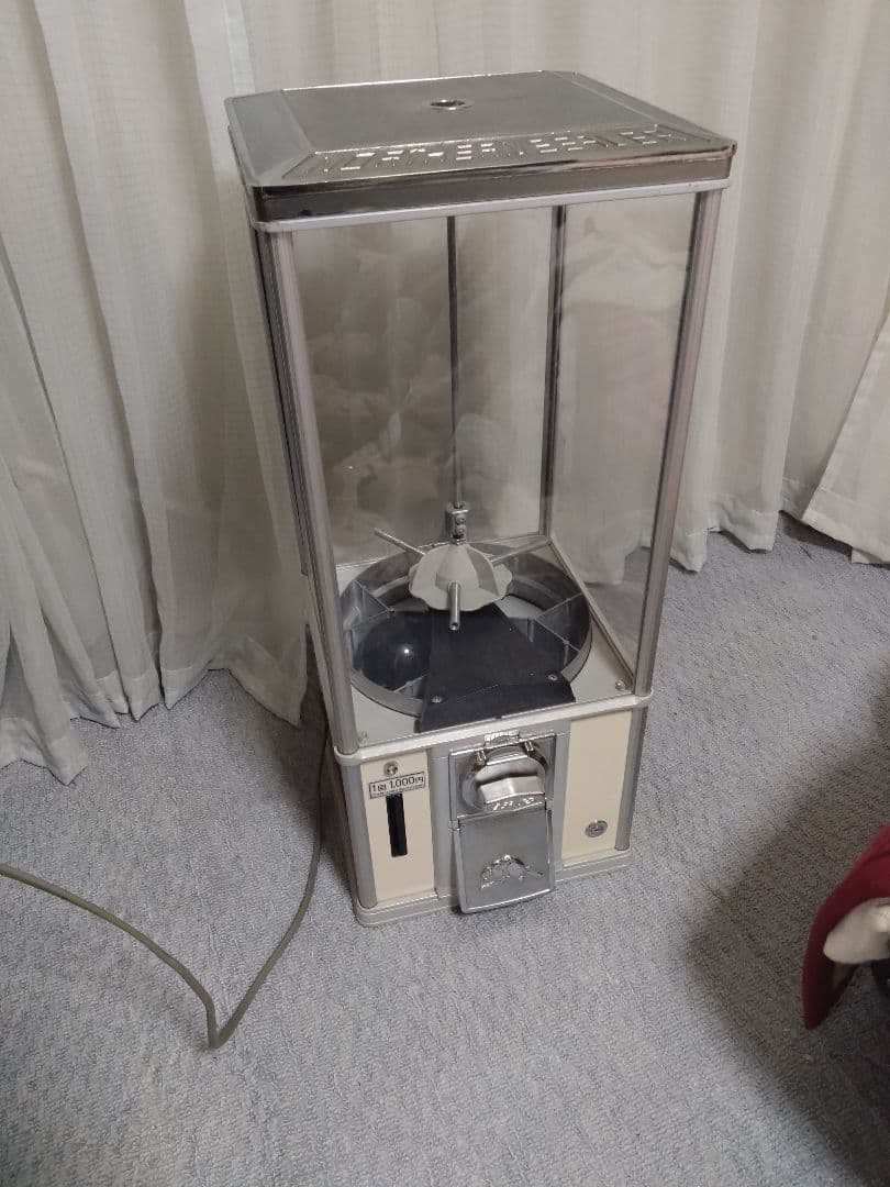 ビーバー５５