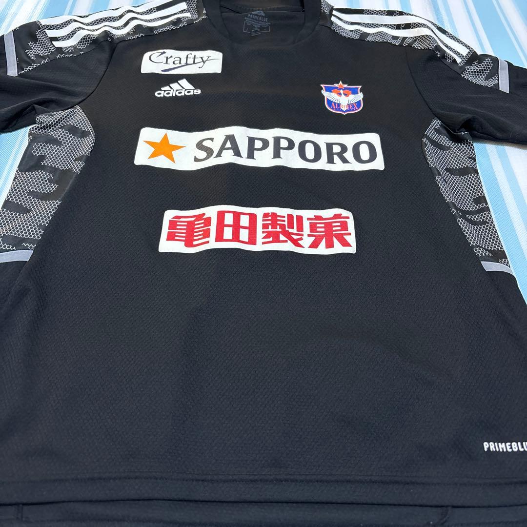 アルビレックス新潟