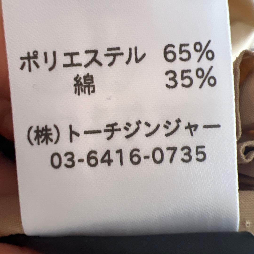 トーチジンジャーtutuvi