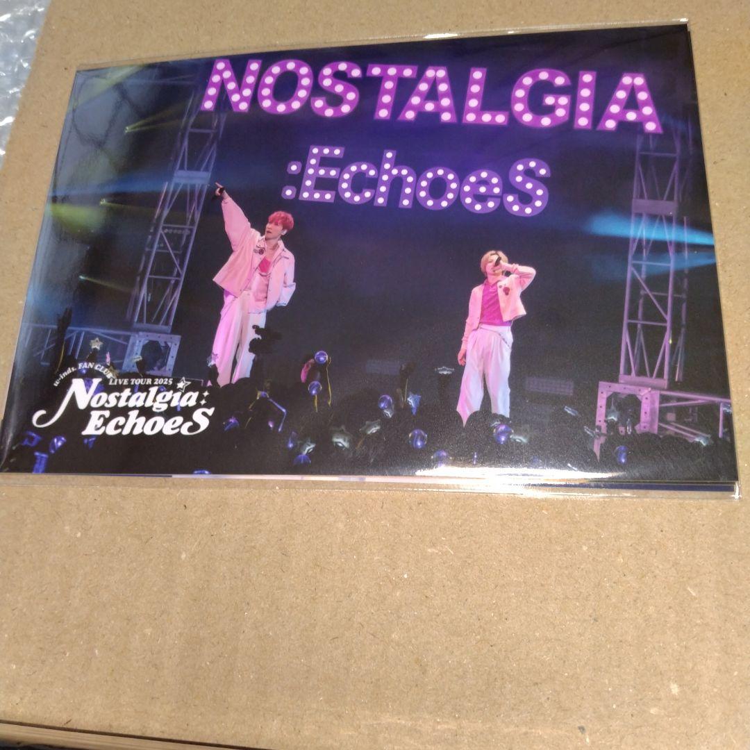 ミュージック #w-ind.sNostalgia Echoes DVD