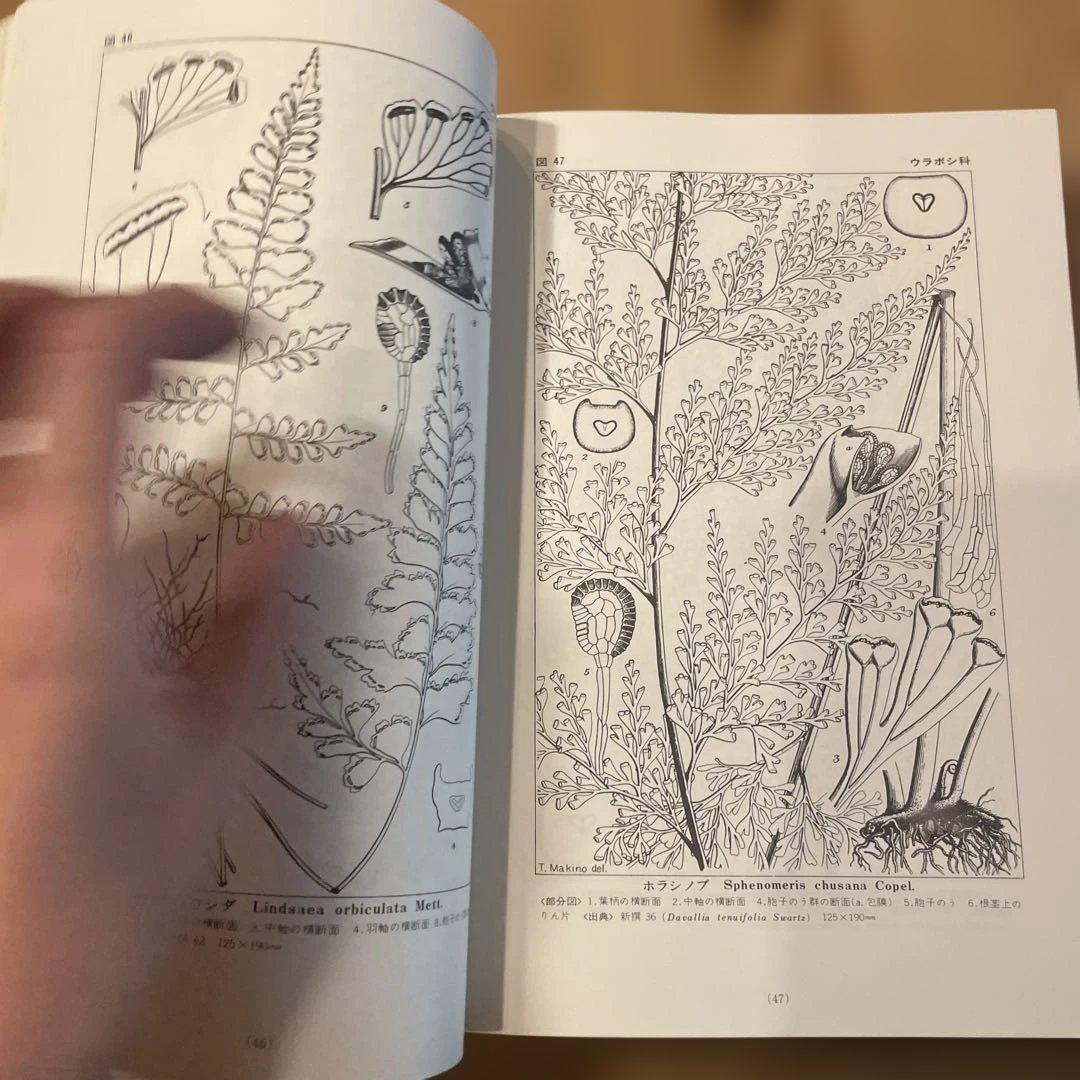 精選　牧野植物図集