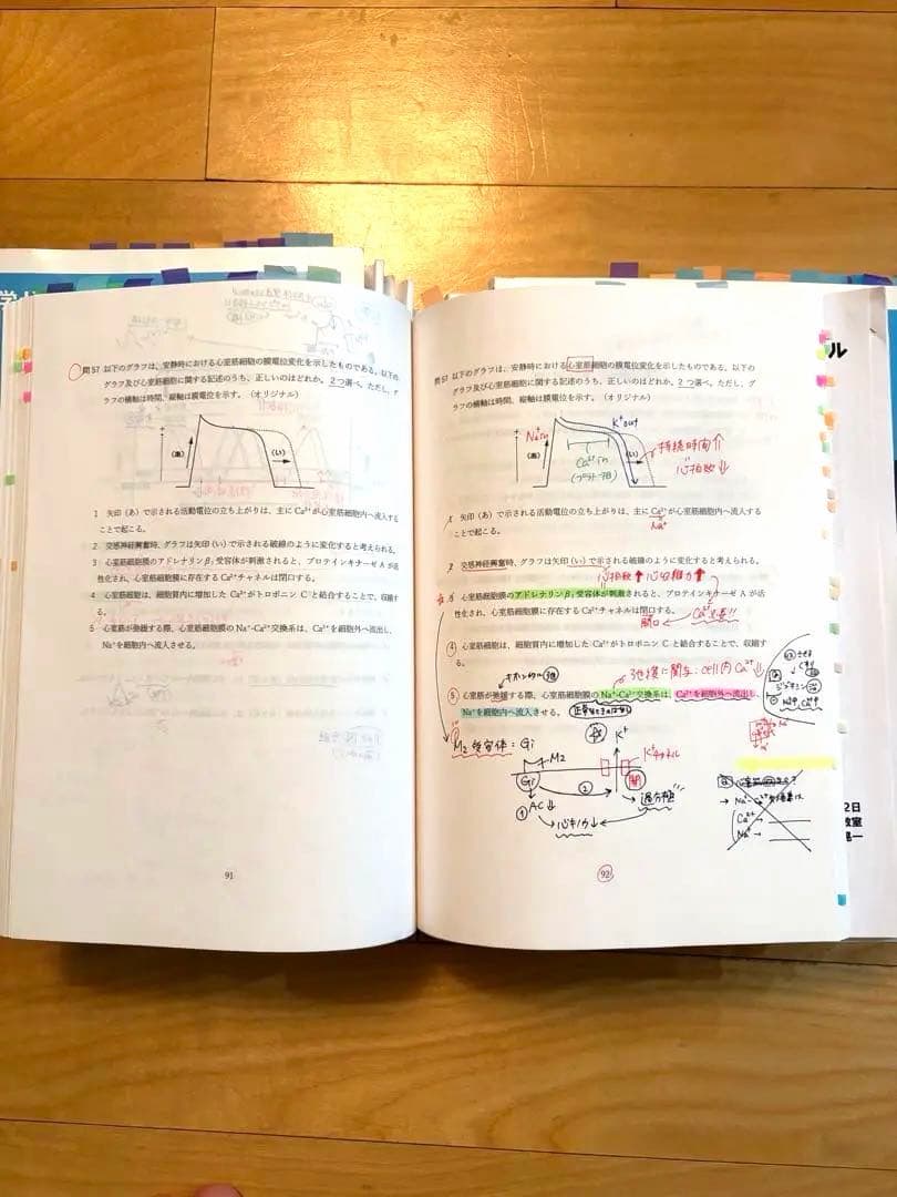 【書き込みあり！】薬ゼミ/弱点克服問題集(白問)第110回薬剤師国家試験/14冊