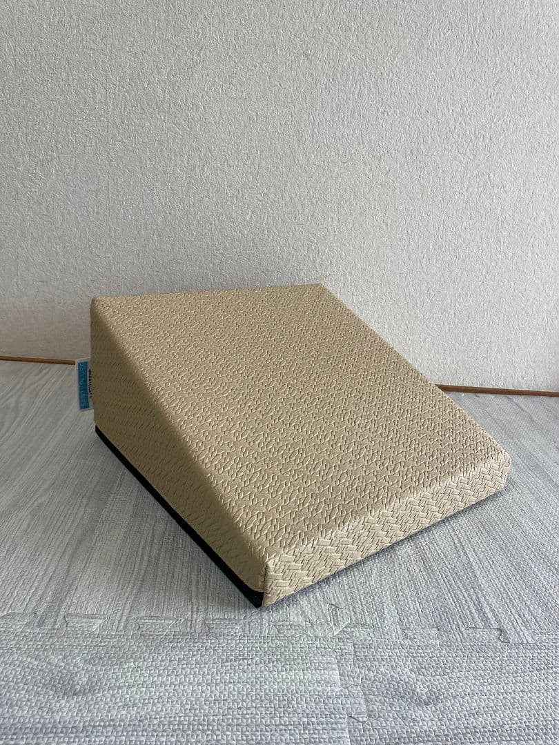 サンテプラス フレックスクッション ベージュ