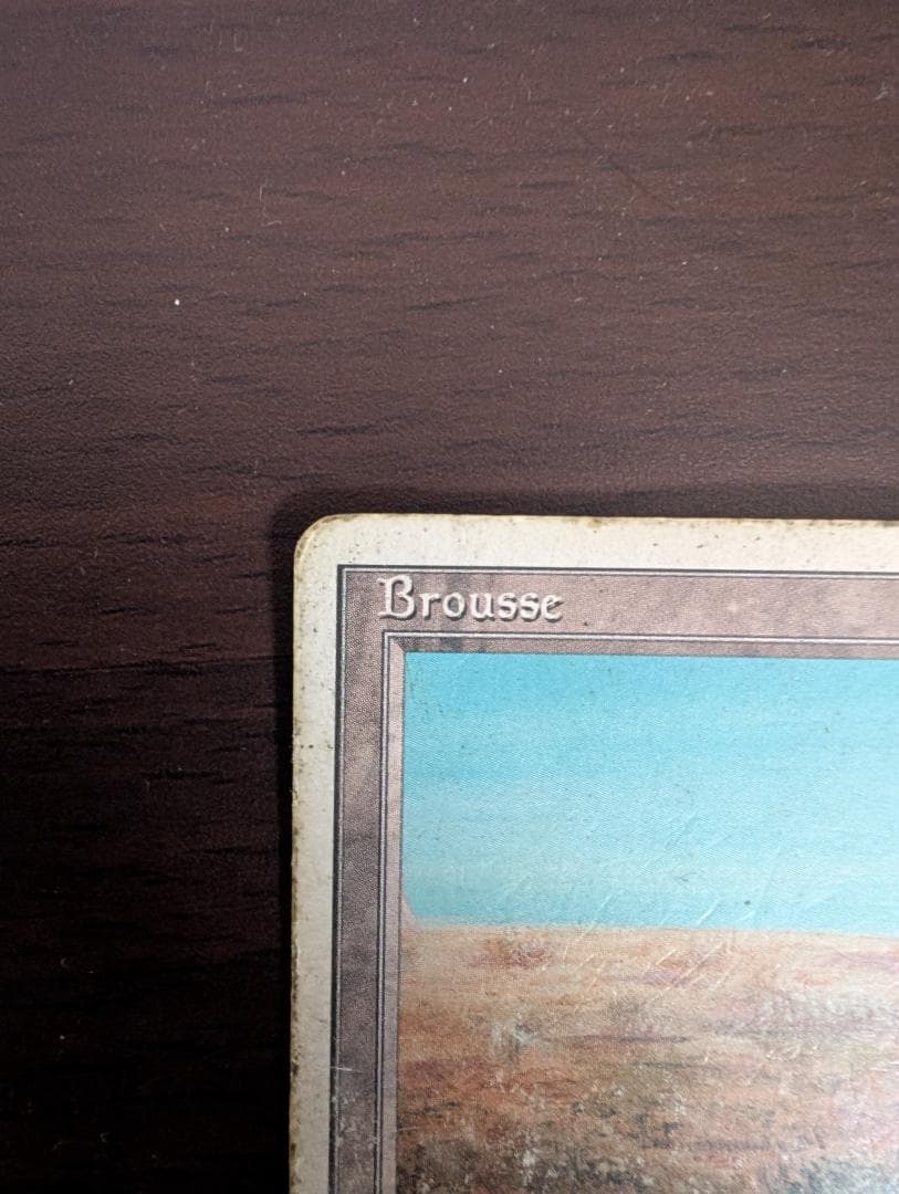 MTG Scrubland HP フランス語