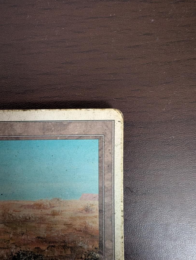 MTG Scrubland HP フランス語