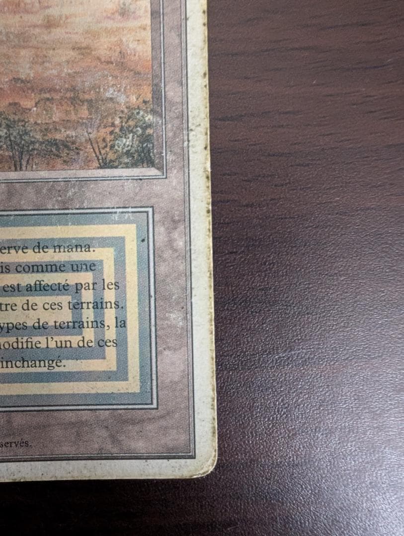 MTG Scrubland HP フランス語