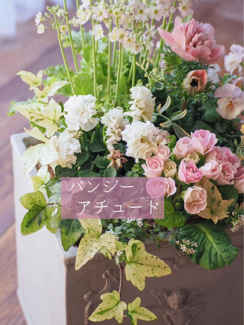 【お値下】ヒヤシンス咲く天使のお庭