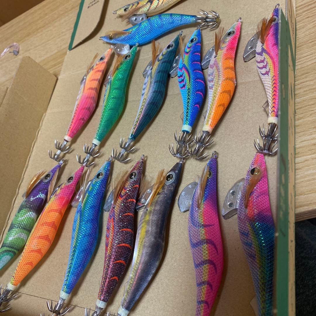 エギ 王セット