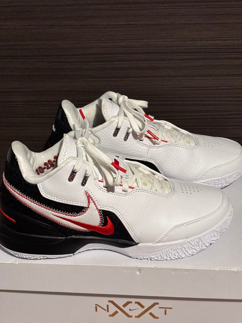 NIKE ズーム レブロン ネクスト ジェン AMPD EP