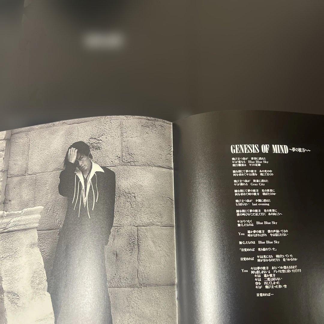 美品MOTHER(アナログ) LUNA SEA ルナシー　レコード