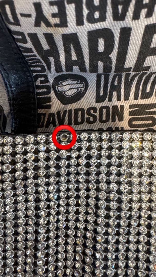 Harley-Davidson シルバー パーティーバッグ