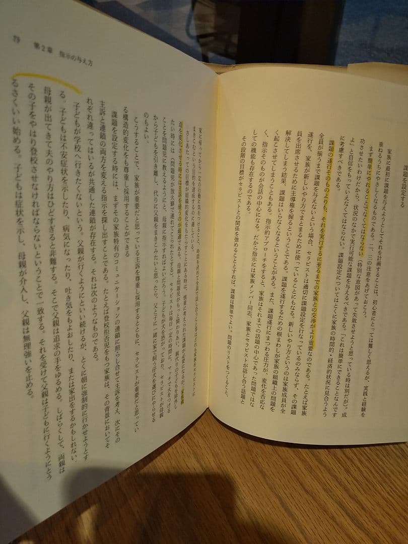 家族療法 : 問題解決の戦略と実際