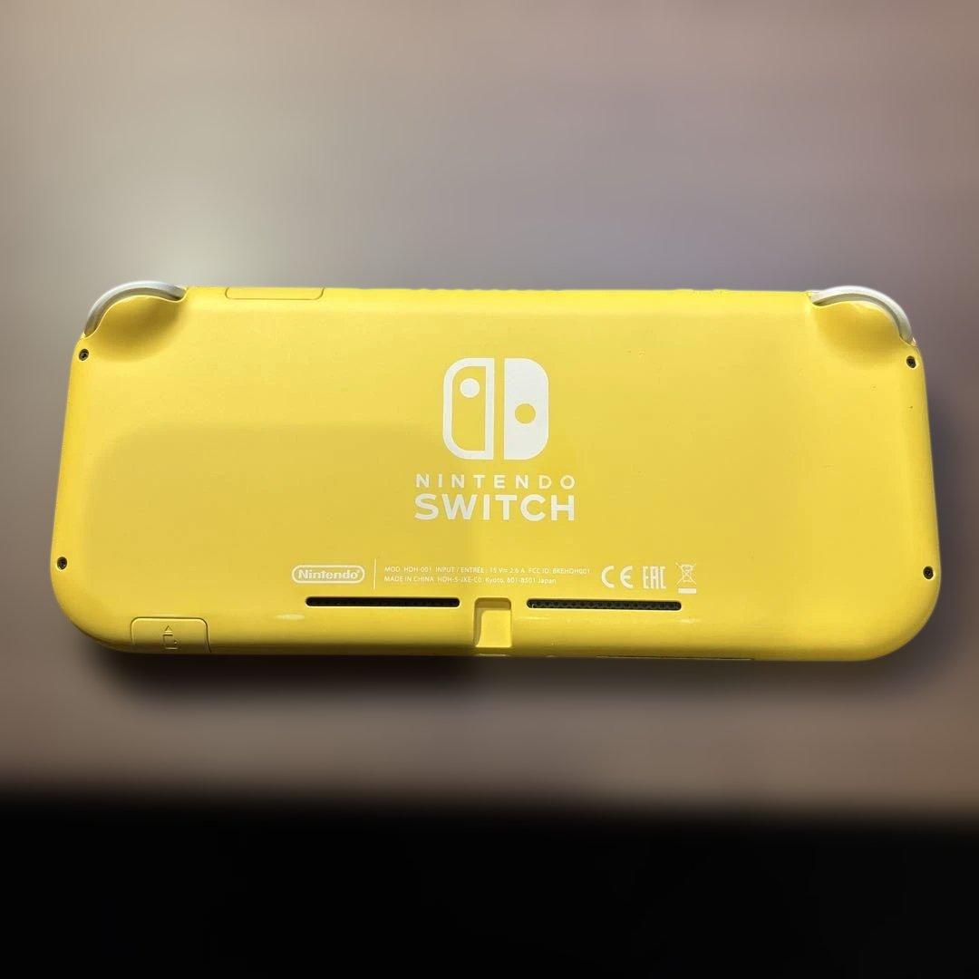 Nintendo switch Lite + ケース付