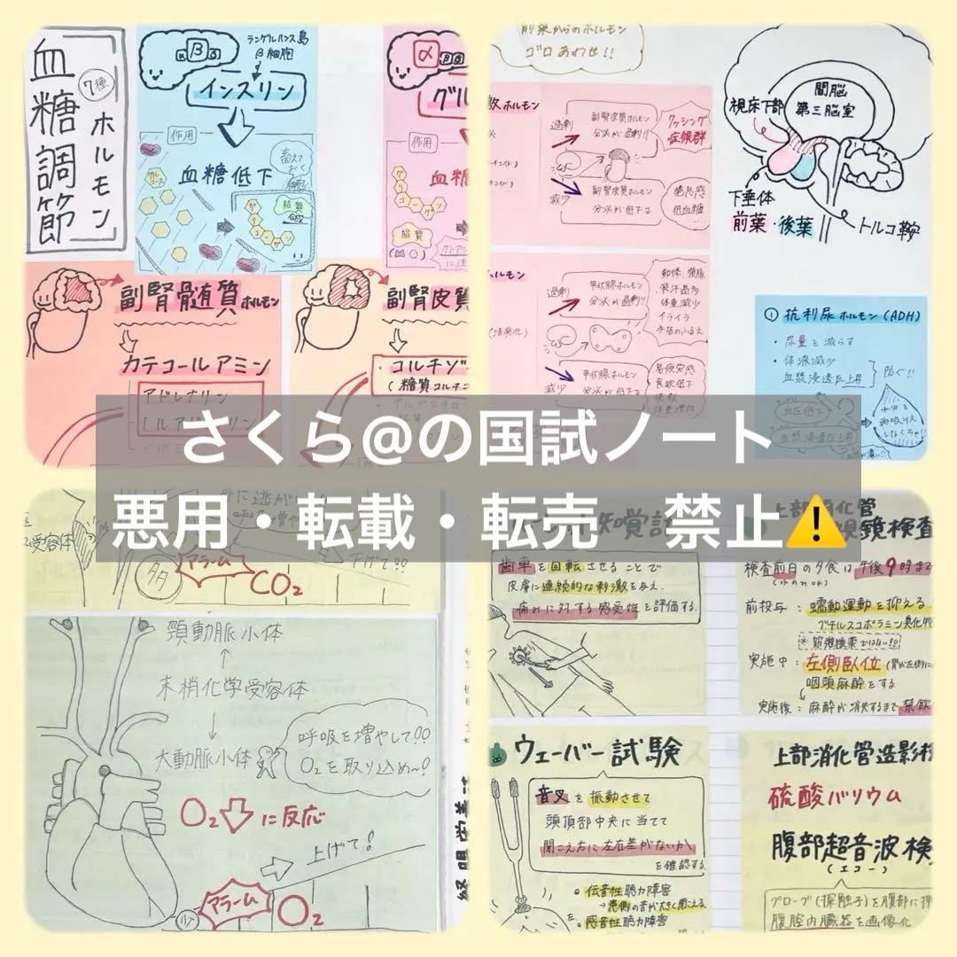 看護【国試対策ノート】【基礎】+【病態】A4サイズ余白あり！勉強・暗記に大活躍！