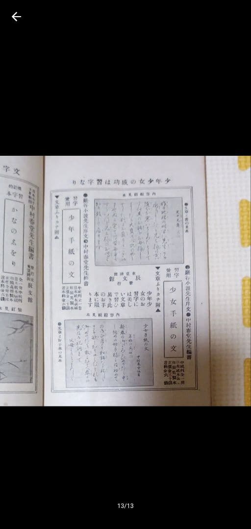 古書 和本 いなみちひき 菊模様 レトロ アンティーク