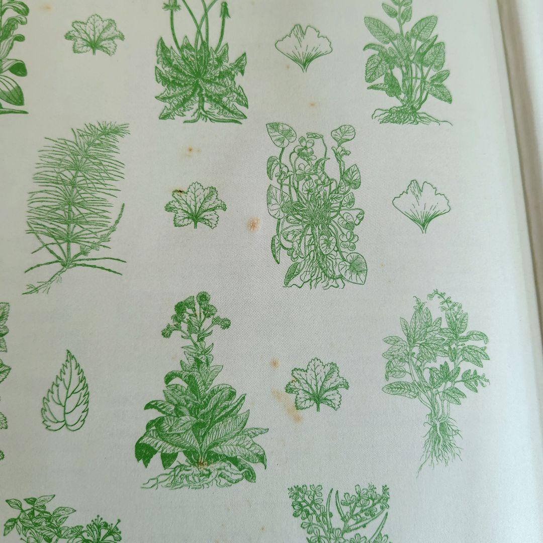 Complete Medicinal Herbal　英語版　洋書　ハードカバー