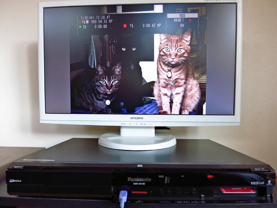 Panasonic HDD内蔵W録画DVDレコーダー DMR-XW100