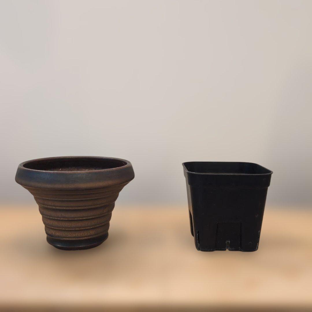 陶器鉢５点まとめ売り