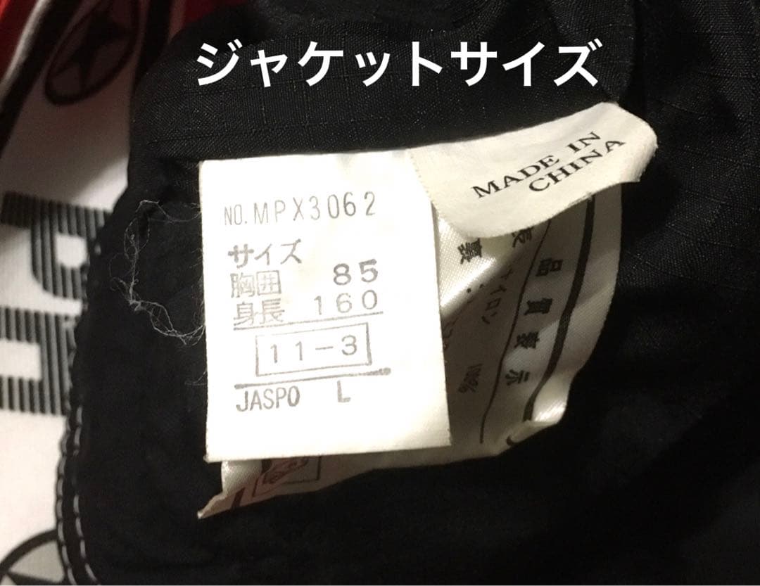 PHENIX レディース スキー/スノボウェア 上下セット Lサイズ