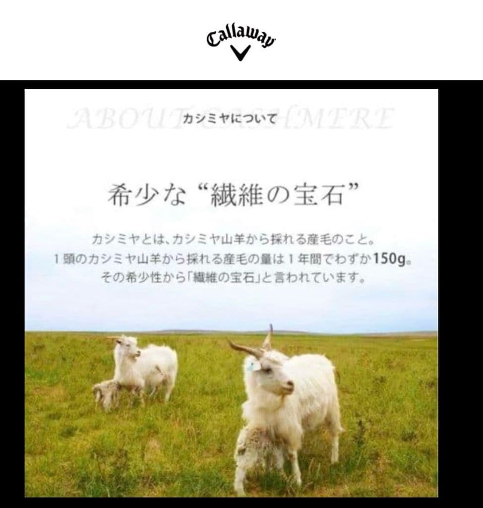 【希少品‼️】キャロウェイ カシミヤ99%Uネックニットベージュ L