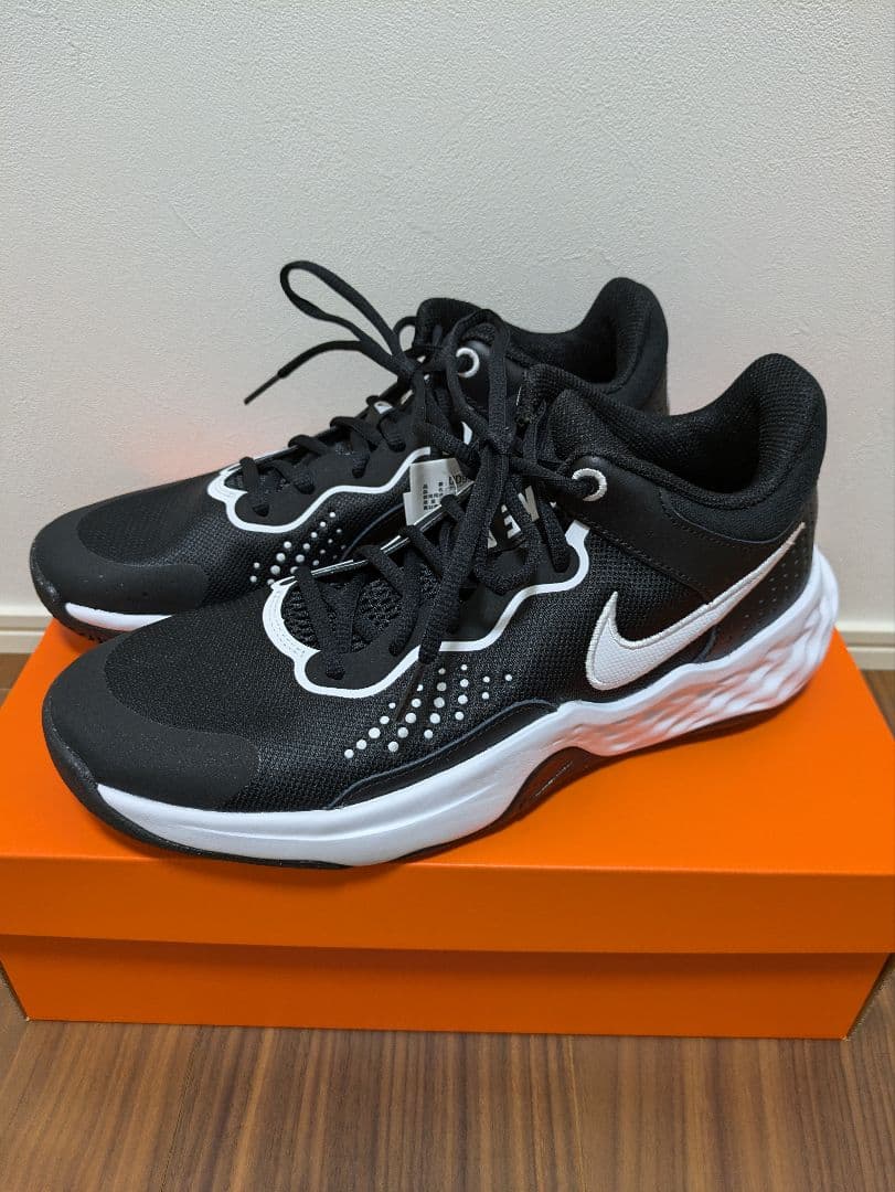 NIKE　ナイキ フライ バイ MID 3 バスケットボールシューズ 　バッシュ