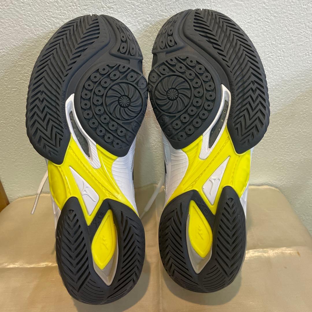極美品MIZUNOウエーブクローEL２、２5センチ、バドミントンシューズ