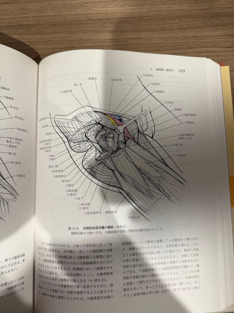 整形外科医のための手術解剖学図説 第2版