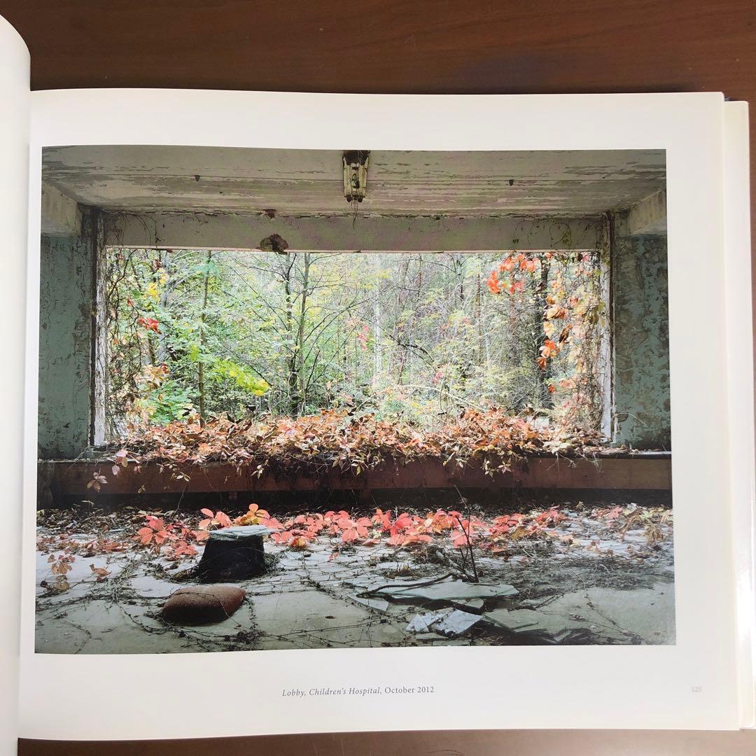 (初版) David Mcmillan: Growth and Decay 洋書