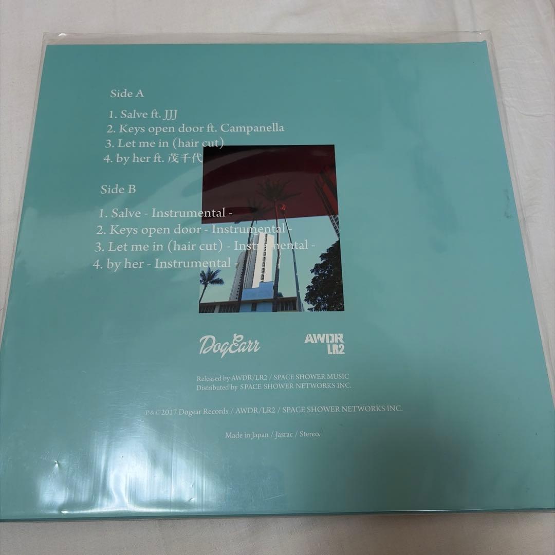 AMDR LIZ DayLetter レコード