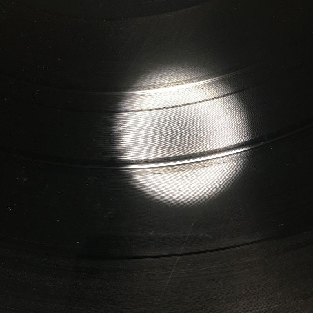 貴重レコード　RIZE/THUNDERBOLT 帰ってきたサンダーボルト