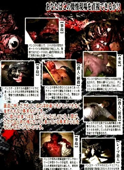 RARE レア 人間であったはずの肉塊〈総集編①〉DVD　ホラー グロ ゴア