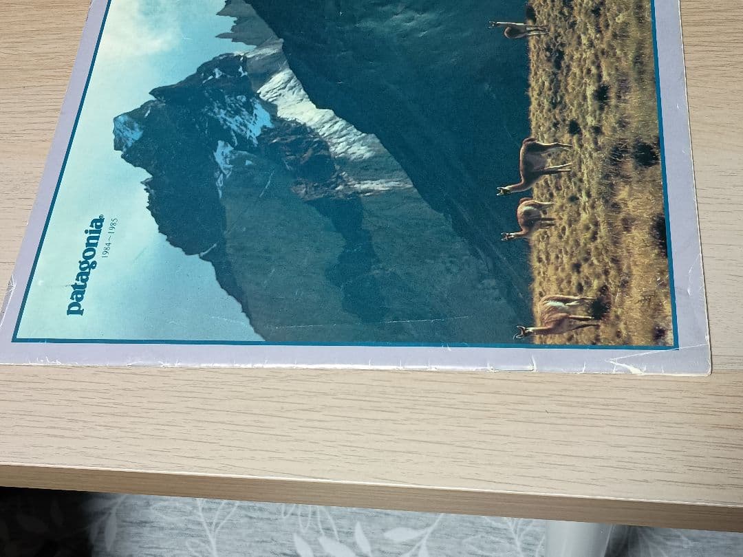 patagoniaカタログ1984~1985 超希少品!