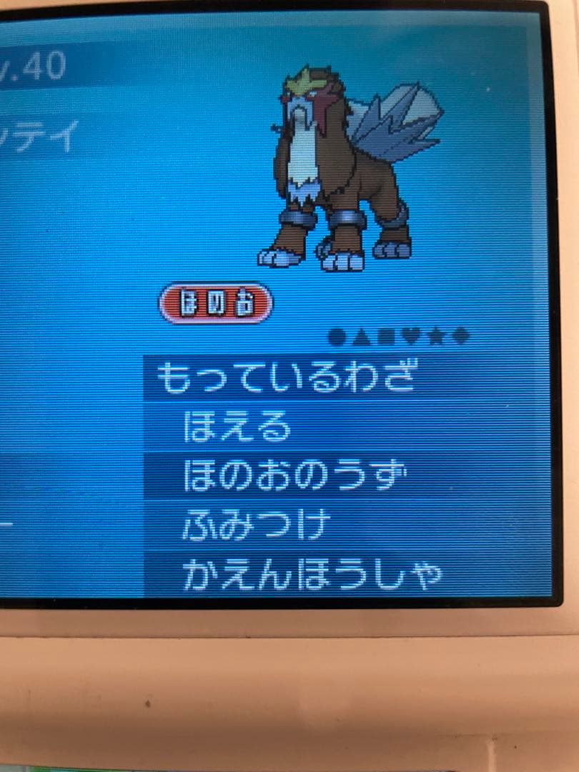 ポケットモンスターy ポケモン　色違い伝説、ひかるおまもりあります！