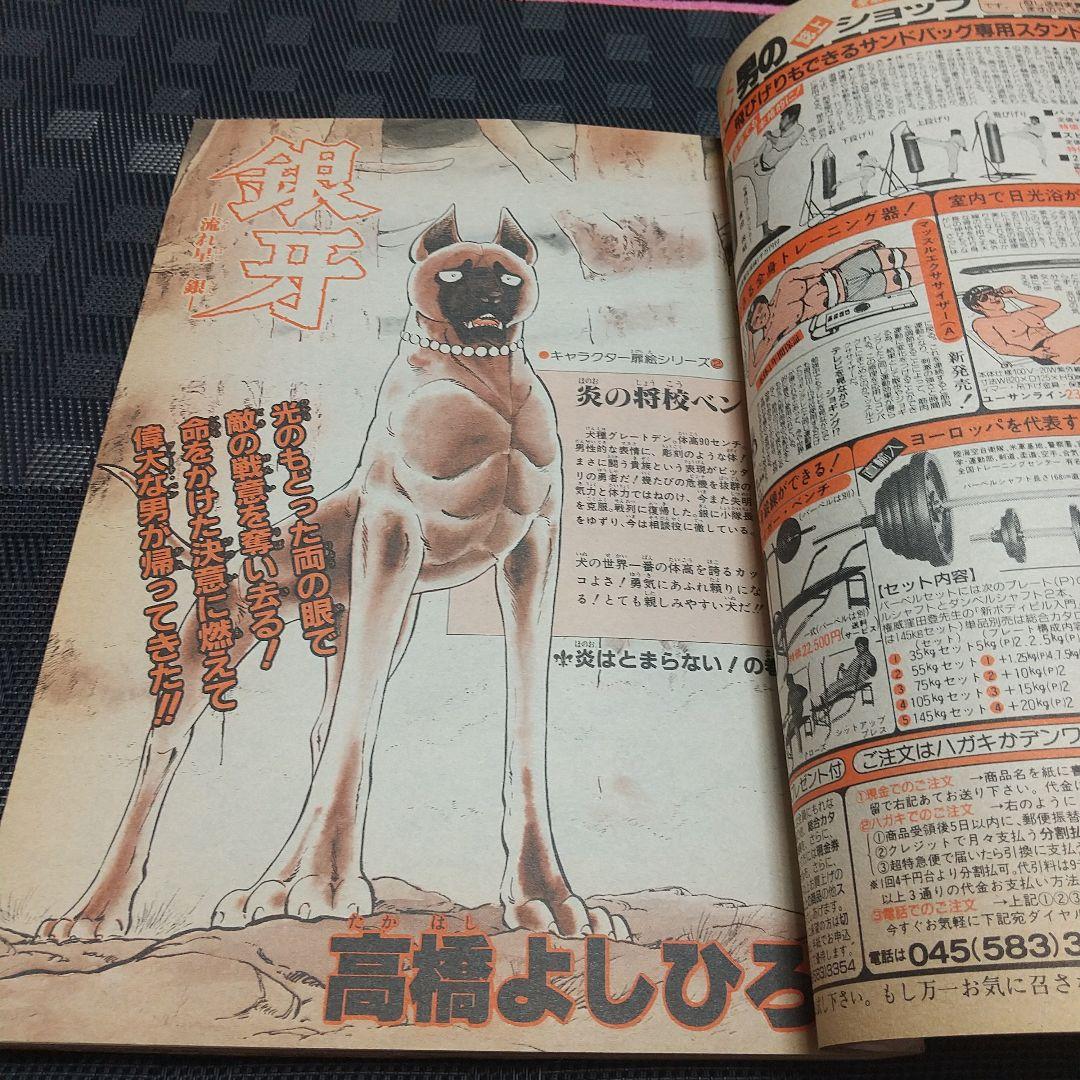 週刊少年ジャンプ 1985年28号※北斗の拳 巻頭カラー※銀牙 2色カラー