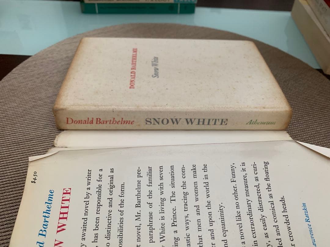 希少　Donald Barthelme  White