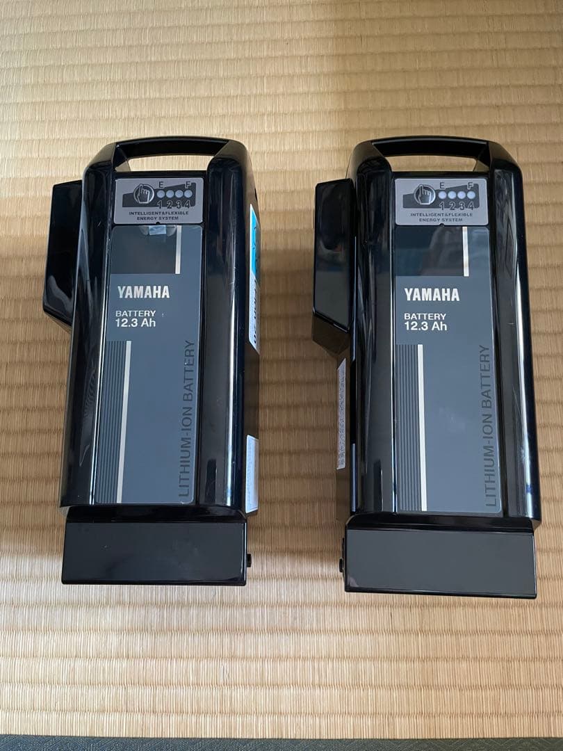 YAMAHA PAS CITY-X 2021年　バッテリー2個付属