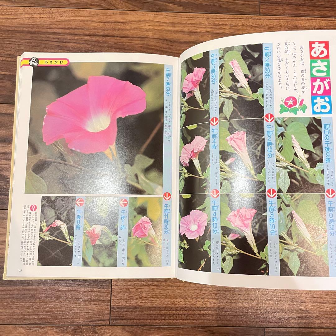 14冊セット　小学館 「こども百科事典 」「学習こども図鑑」