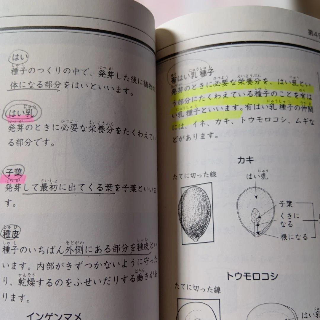 日能研　４年　前期後期テキスト 本科栄冠　春夏冬講習【発展】2022年版