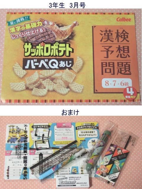 チャレンジ5年生　進研ゼミ　2025年4月～2026年2月　ベネッセ